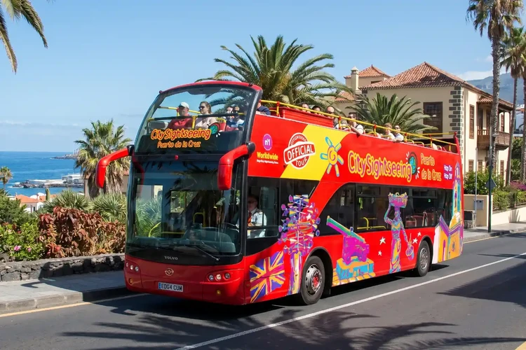 Bus_SCDT_Bus_PDLC_Producto_2_P_4828_7a43d6fc-351b-480d-b38e-7759352fa6c4