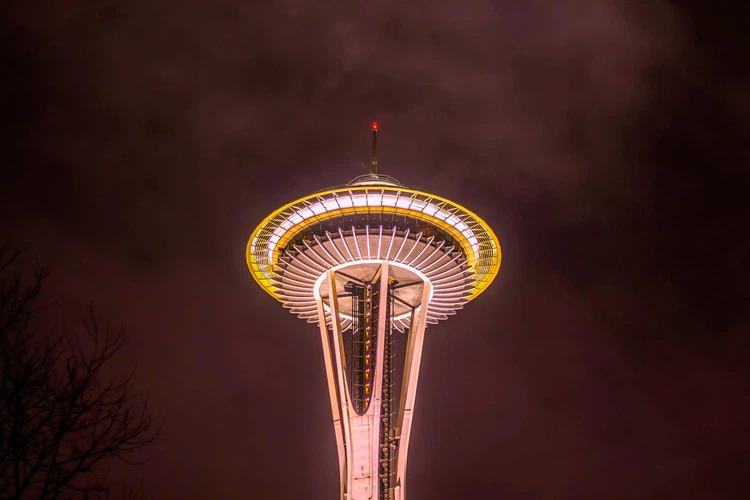 seattle night bus tour