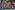 new-york-742795_960_720_P_412_66798ffb-2154-4188-958e-8fbd5b45ce42